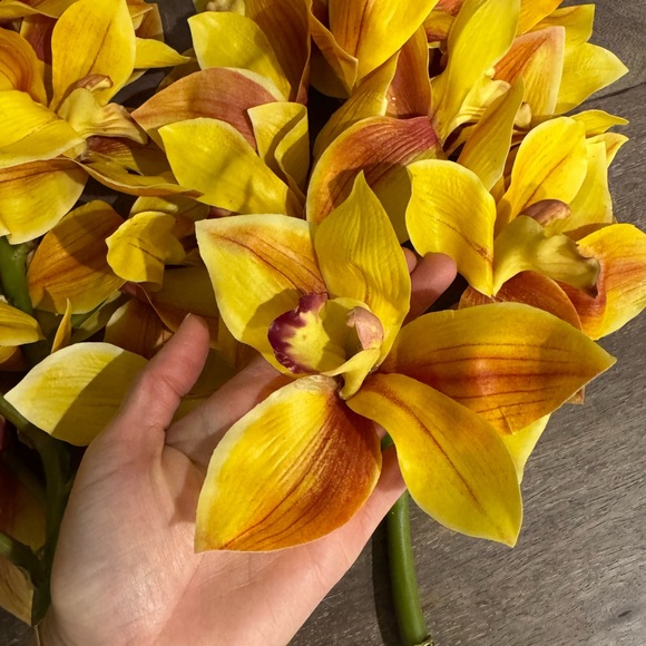 Faux Cymbidium Orchid Stems – Set of 2 (Large Premium Floral Stems)